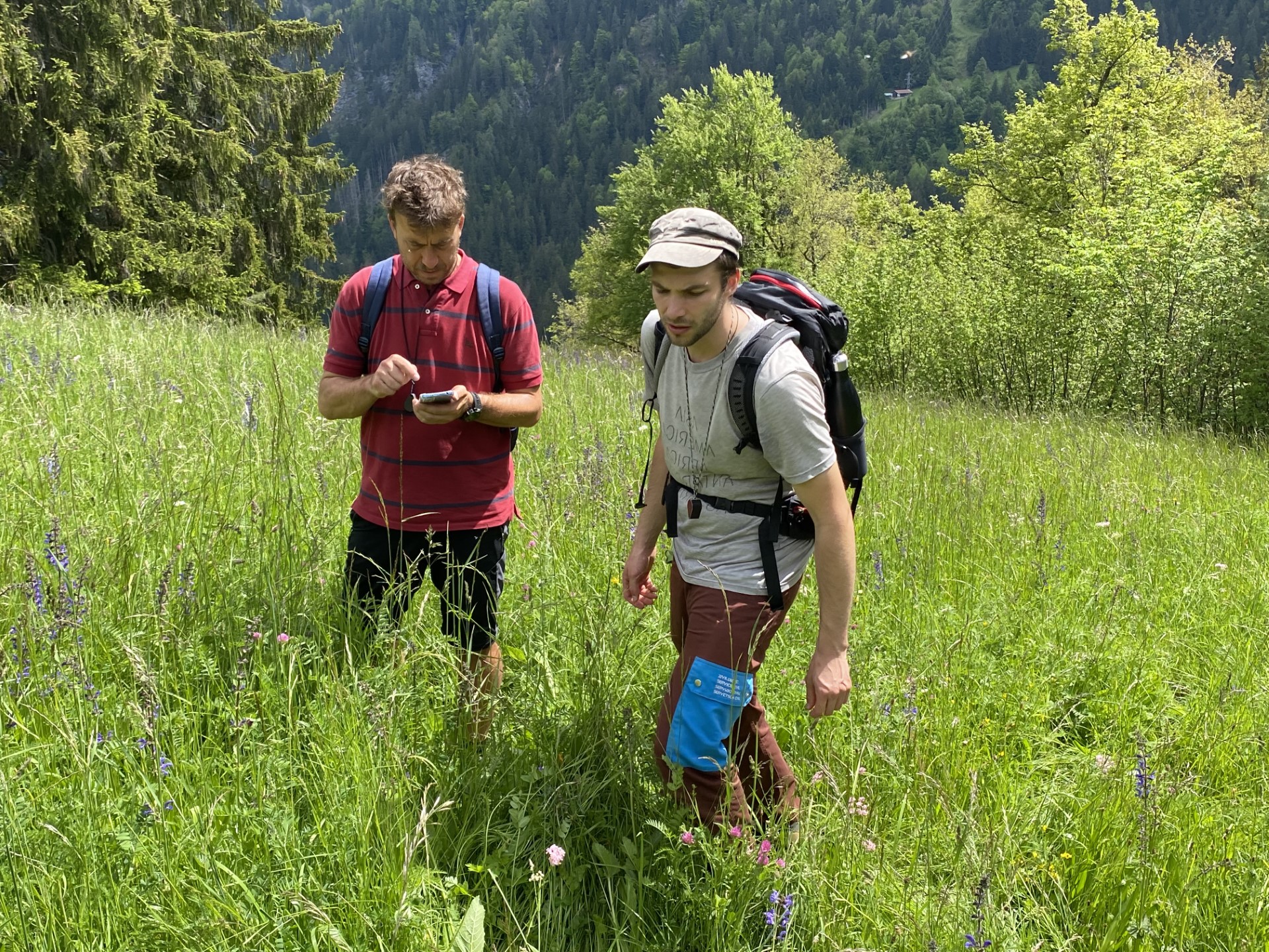 Vegetationskartierungen fürs Auflageprojekt